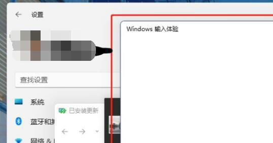 Windows 11如何关闭输入体验-Windows 11总是弹出输入体验解决方案